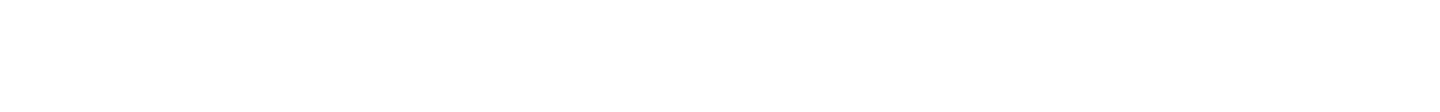 Section Divider